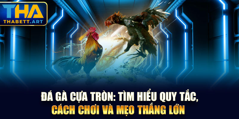 Đá Gà Cựa Tròn